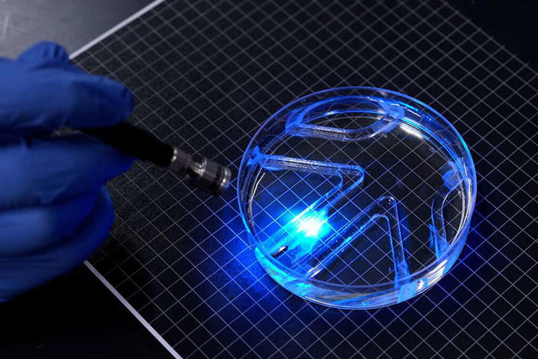 A paper-thin robot swims using living muscle cells, steered by light