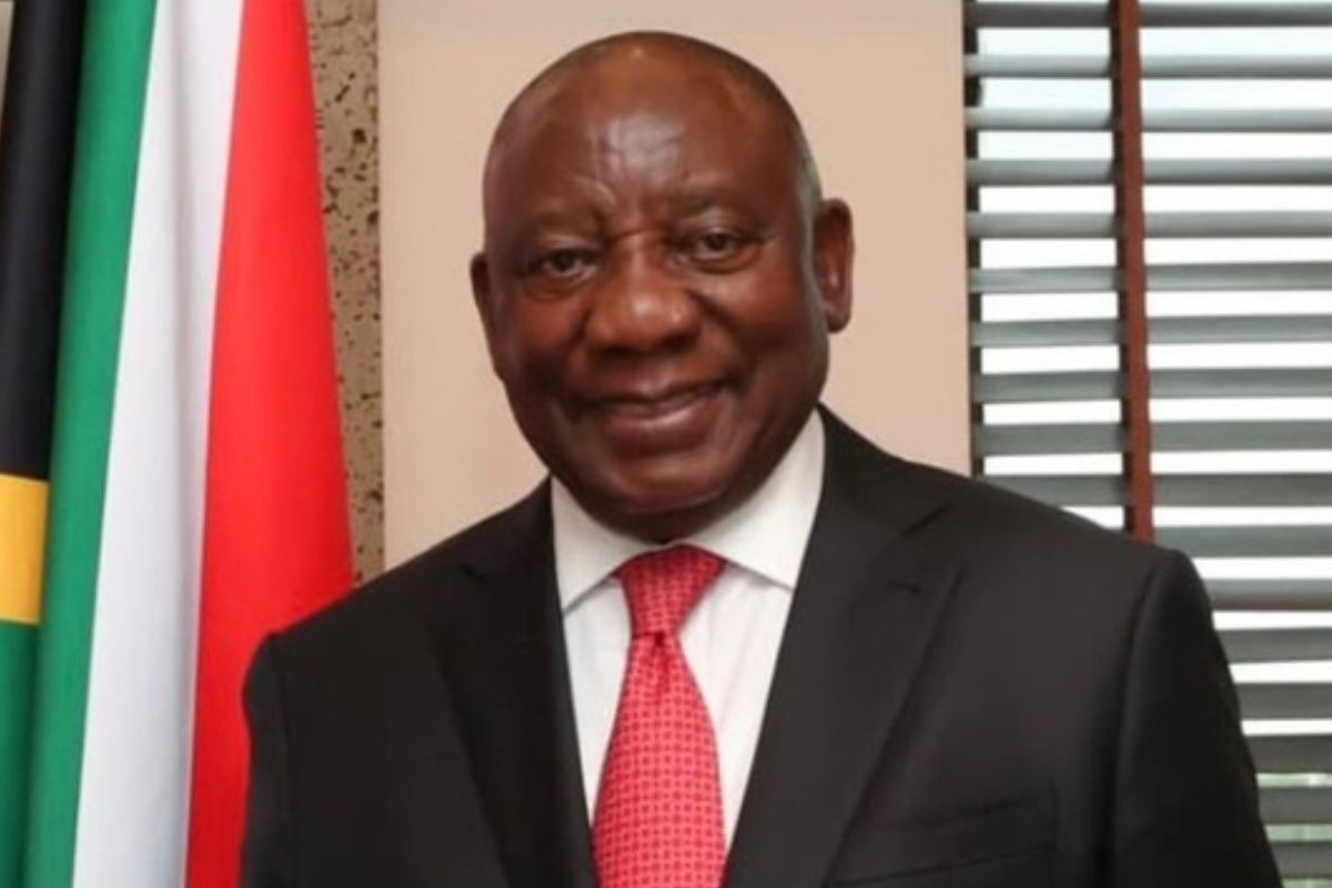 R6.4 million Ankole auction: Cyril Ramaphosa’s cattle collection