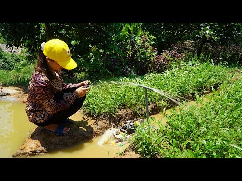 Build a mini dam and design a remote control vegetable watering boat