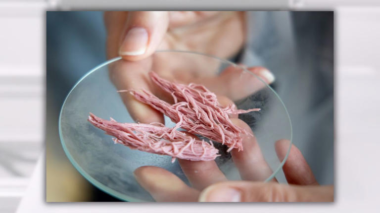 Are US stores selling 3D-printed meat?