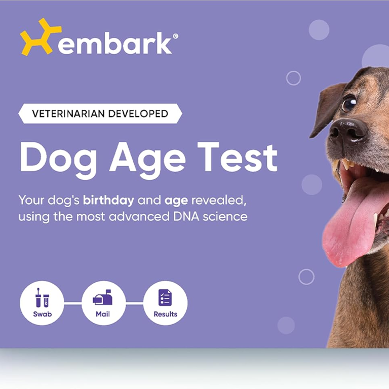 Prime Big Deal Days cuts up to 20% off Embark dog DNA tests