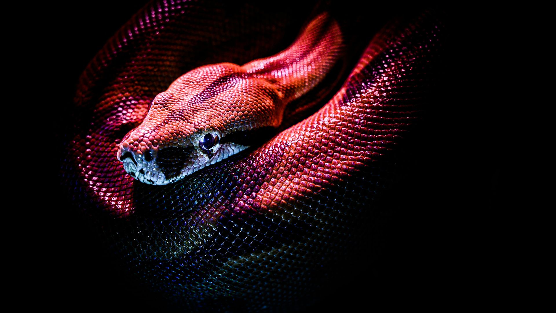 The 20 scariest fantasy creatures you’d never want to encounter