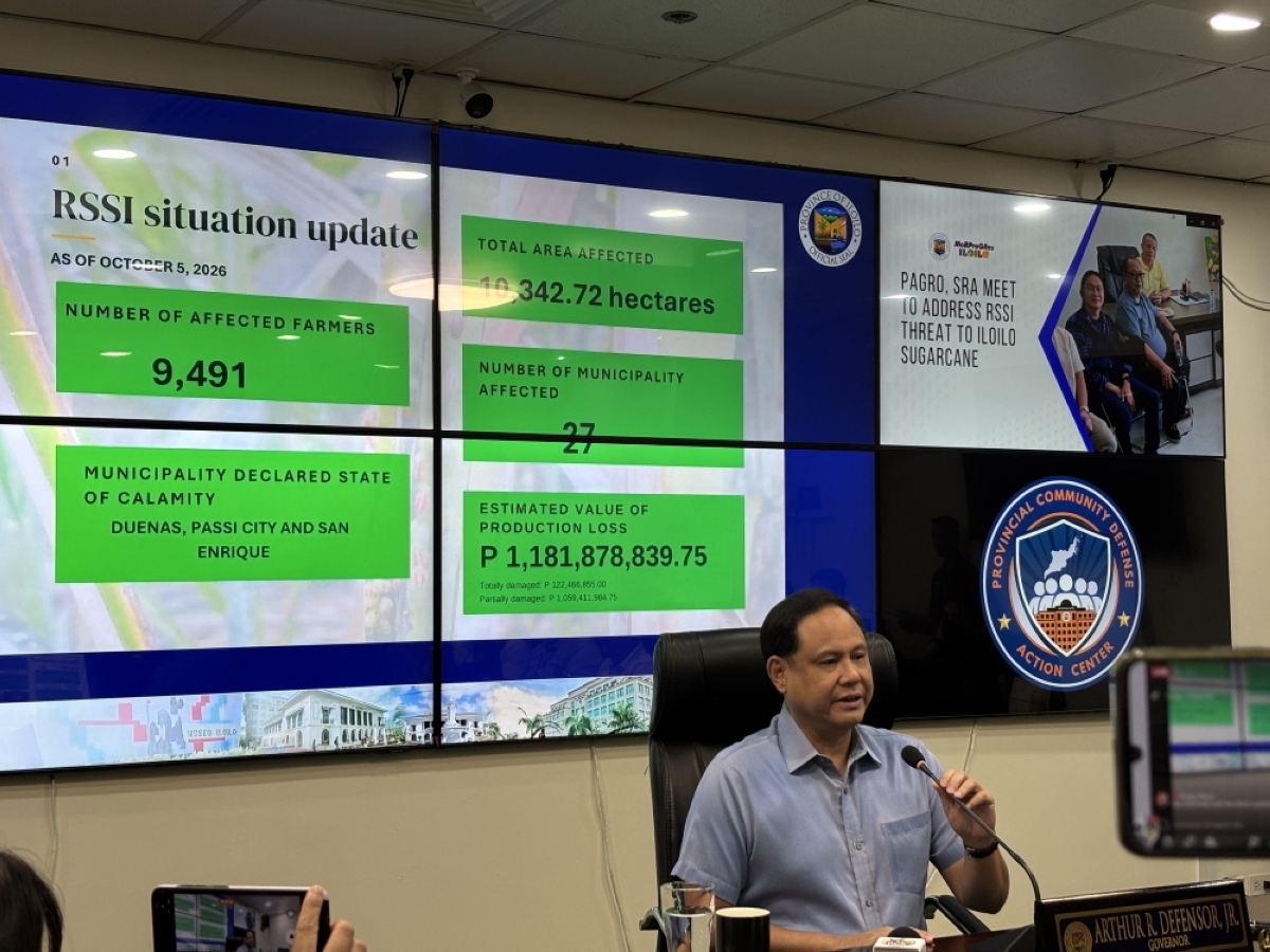 Iloilo suffers P1.18B loss from RSSI infestation