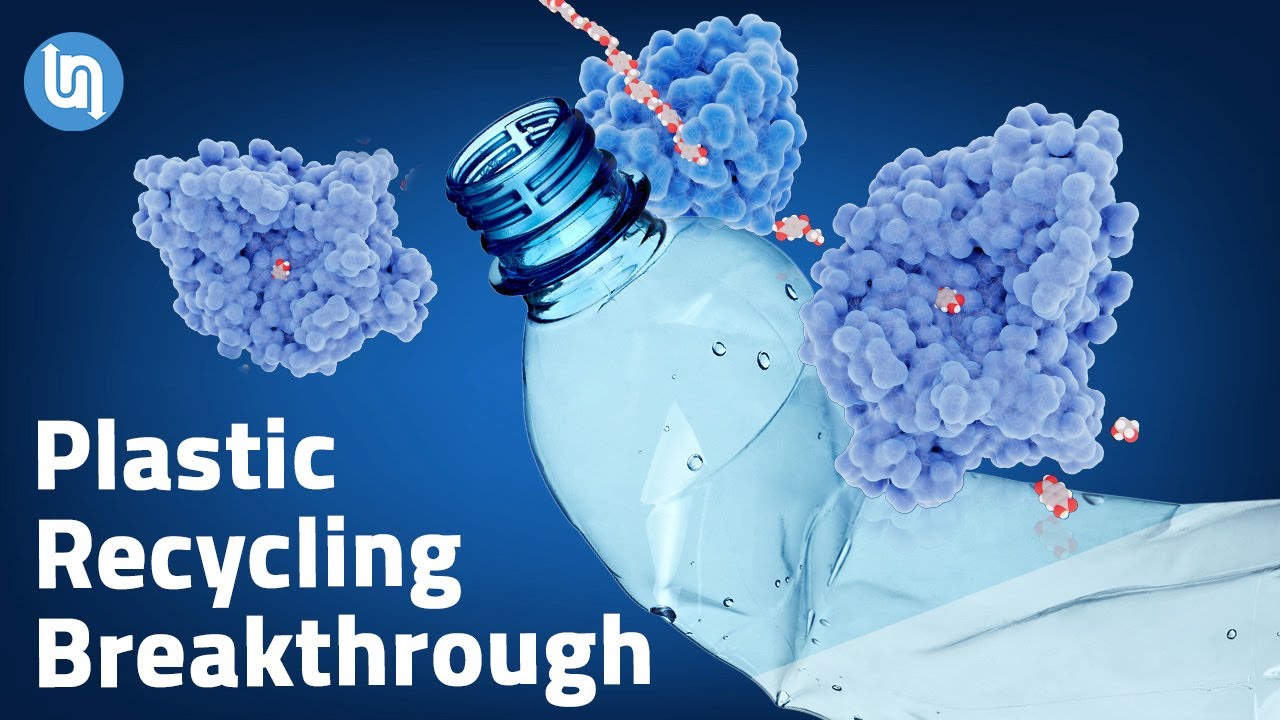 Small creatures, big cleanup: plastic fix?