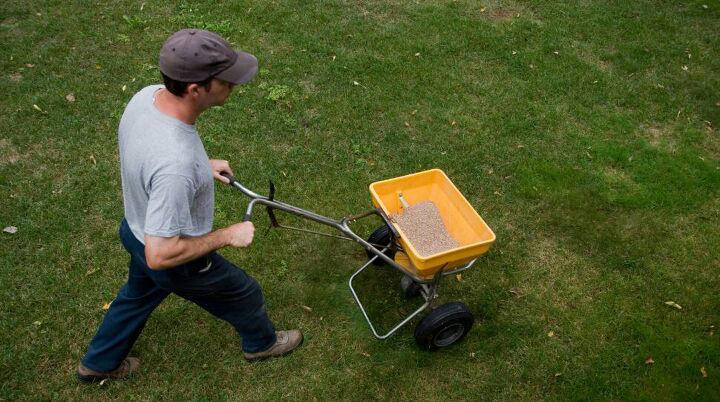 6 fall lawn mistakes that wreck your yard by spring
