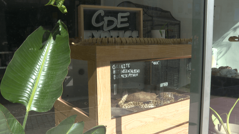 FOX56 investigates concerns into CDE Exotics' remaining animals