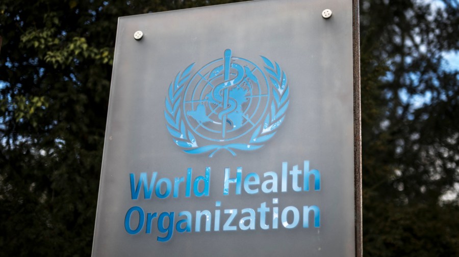 Plague transparency: What do countries have to report?