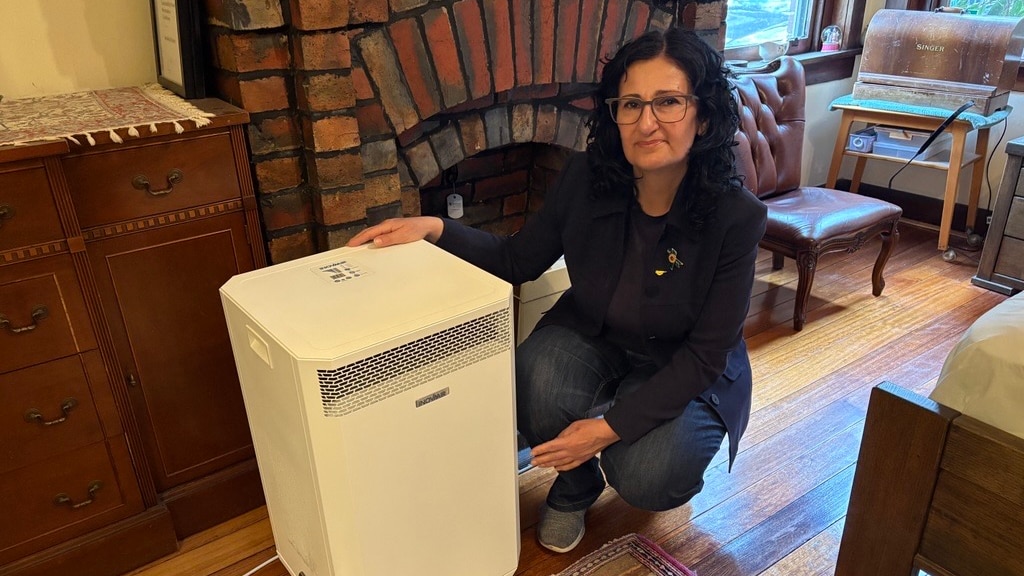 Clean-air advocates say wood smoke being overlooked as Victoria ditches gas