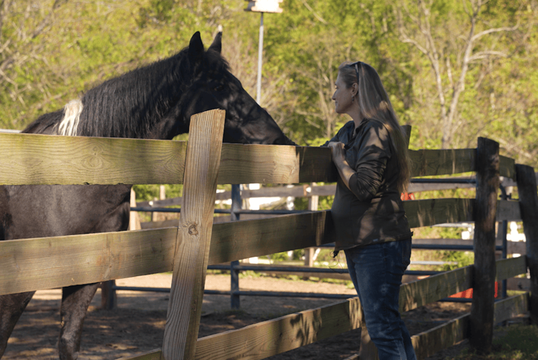 Equine therapy farm could soon be able to have overnight stays