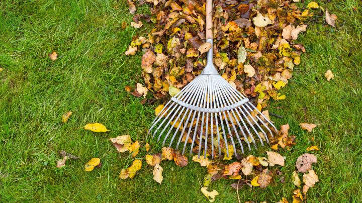 6 fall lawn mistakes that wreck your yard by spring