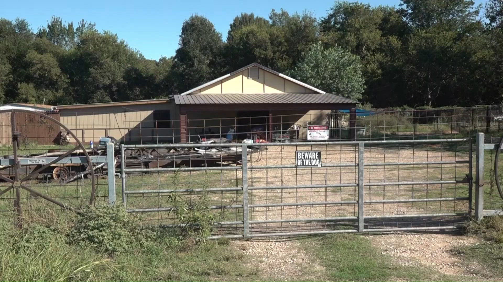 Texas rescue owner arrested on animal cruelty charges