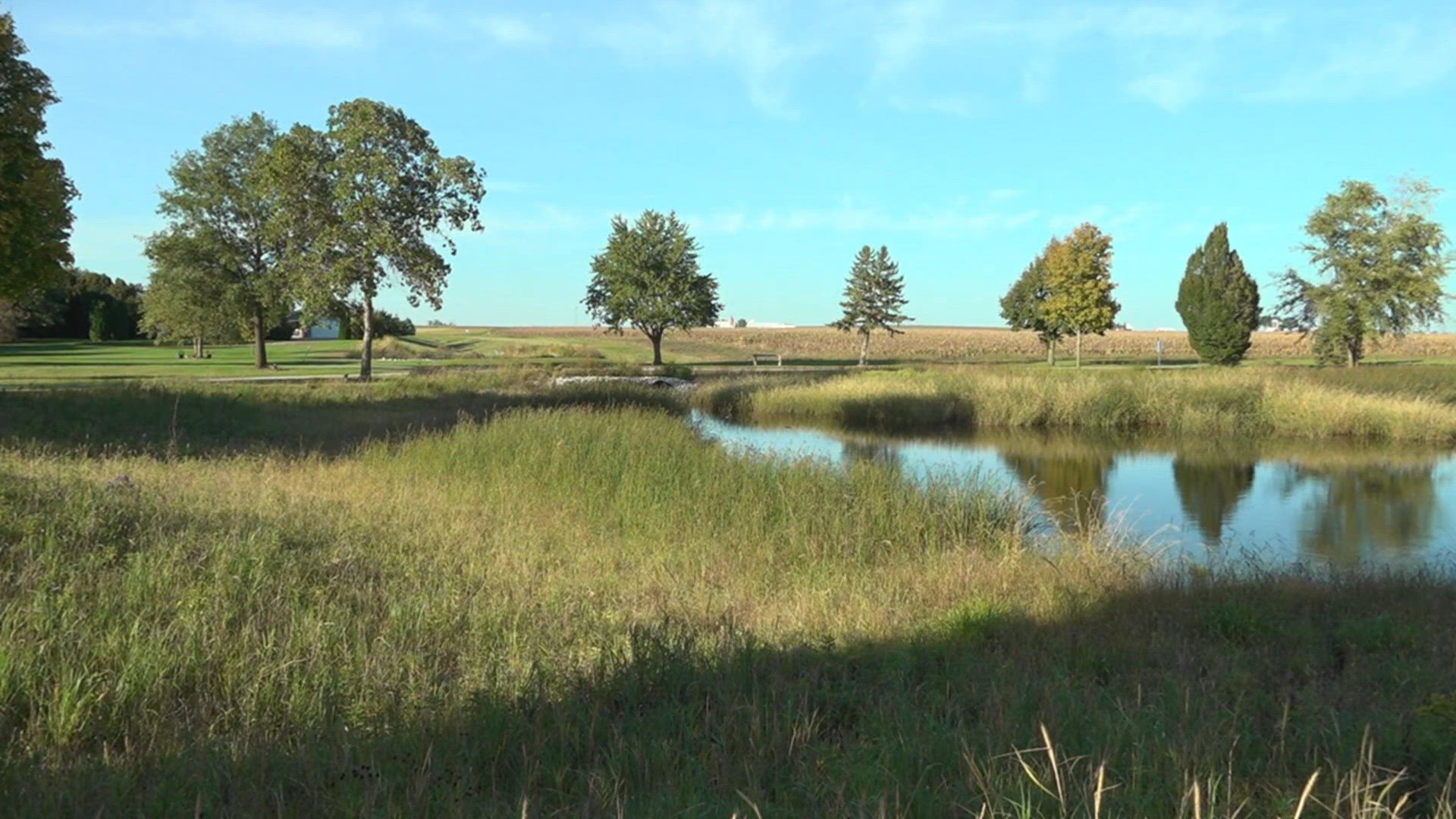 Artificial wetland helping Durant manage stormwater runoff