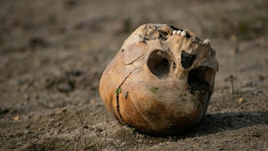 Nancy Guthrie update: Piece of skull found in Oro Valley amid search ...