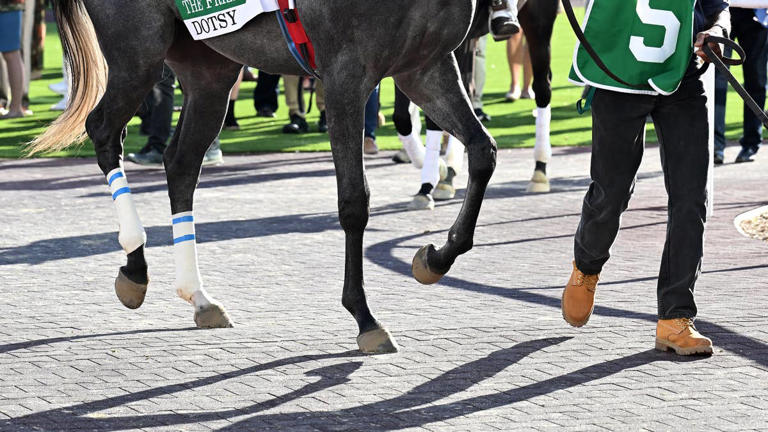 You dream of a horse like Dotsy: Former jockey still riding high after ...