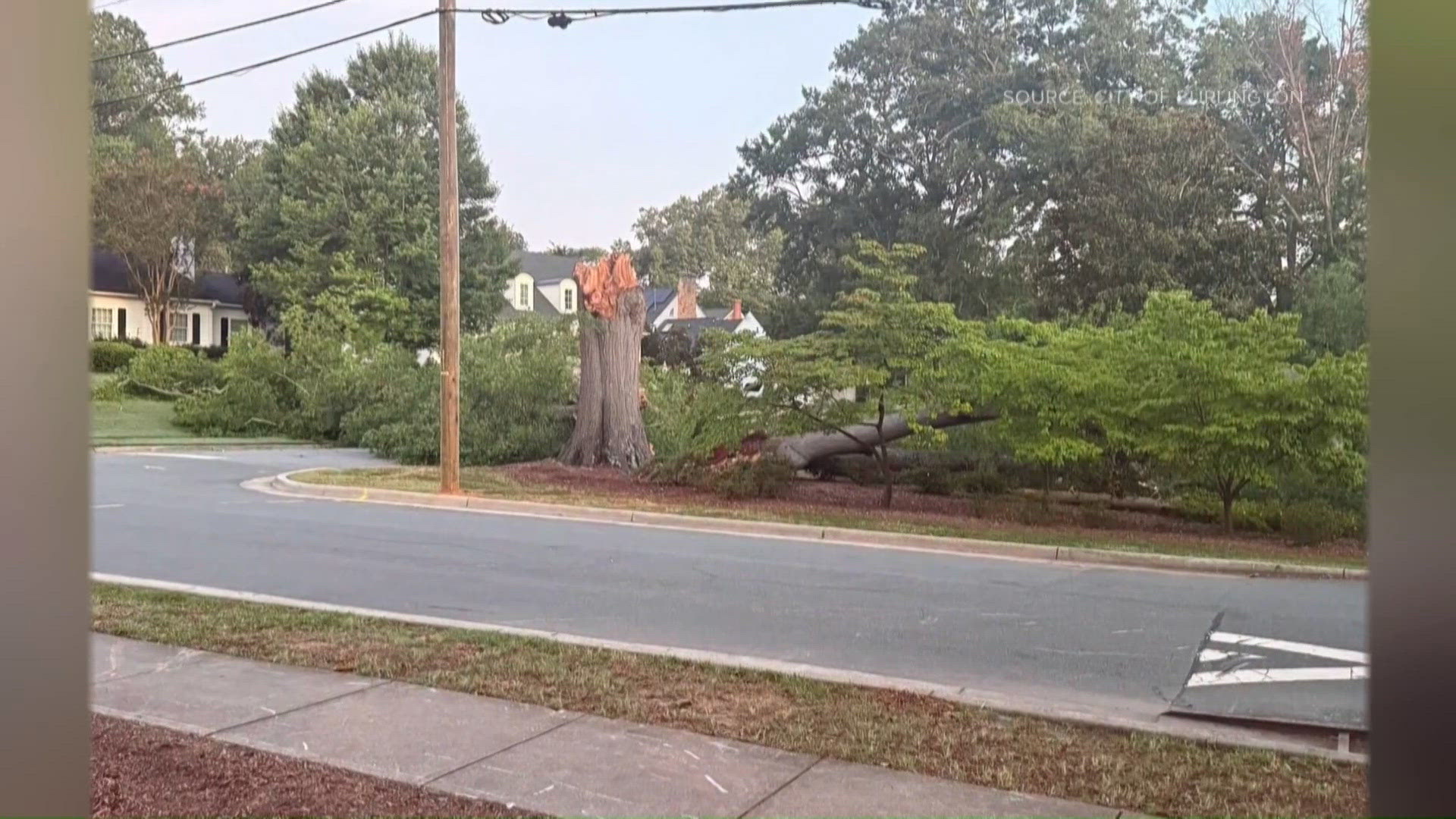Burlington warns residents of mature trees at risk of falling