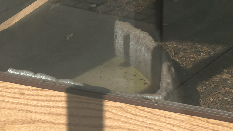 FOX56 investigates concerns into CDE Exotics' remaining animals