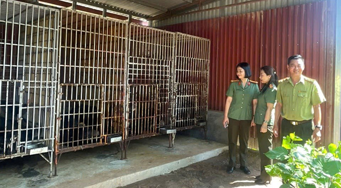Vận động bàn giao gấu nuôi nhốt, chấm dứt khai thác mật gấu ở Hải Phòng