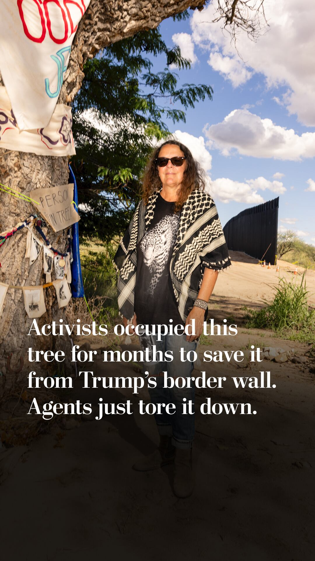Activists occupied this tree for months to save it from Trump’s border wall