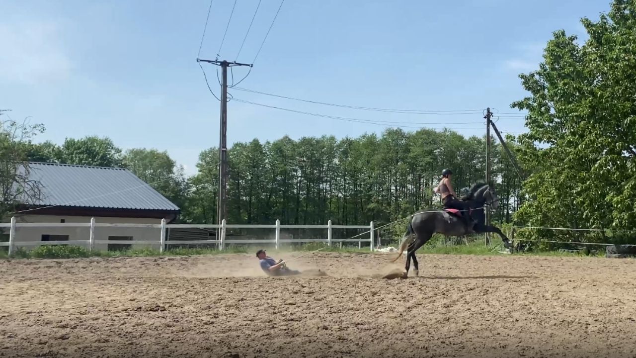 Shocking standoff: Rider stays seated as temperamental stallion strikes