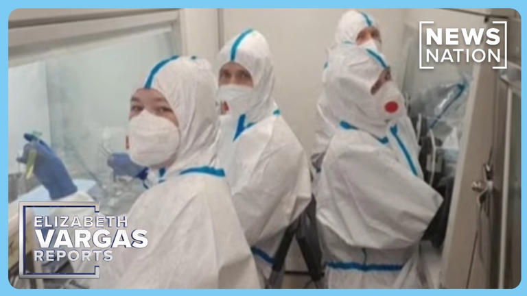 Fears plague scientist was working with 'manipulated' strain before ...