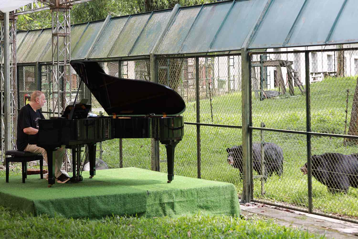 Rock star performs private piano concert to brighten the day of ...
