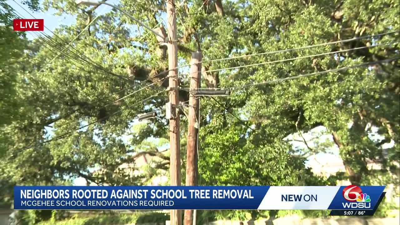 Garden District trees to be removed for new McGehee School gym