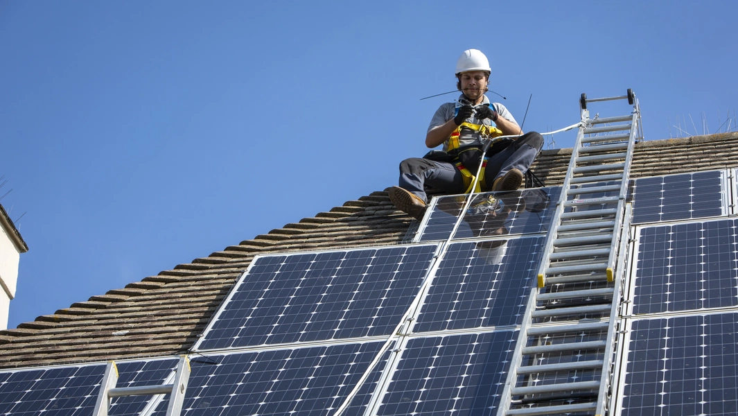 Solar panel warranties and bird-proofing risks