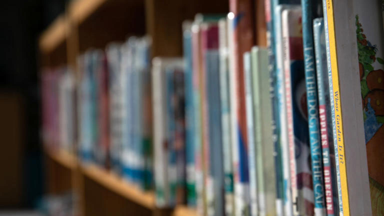 Texas schools banned more than 8,000 books, report says