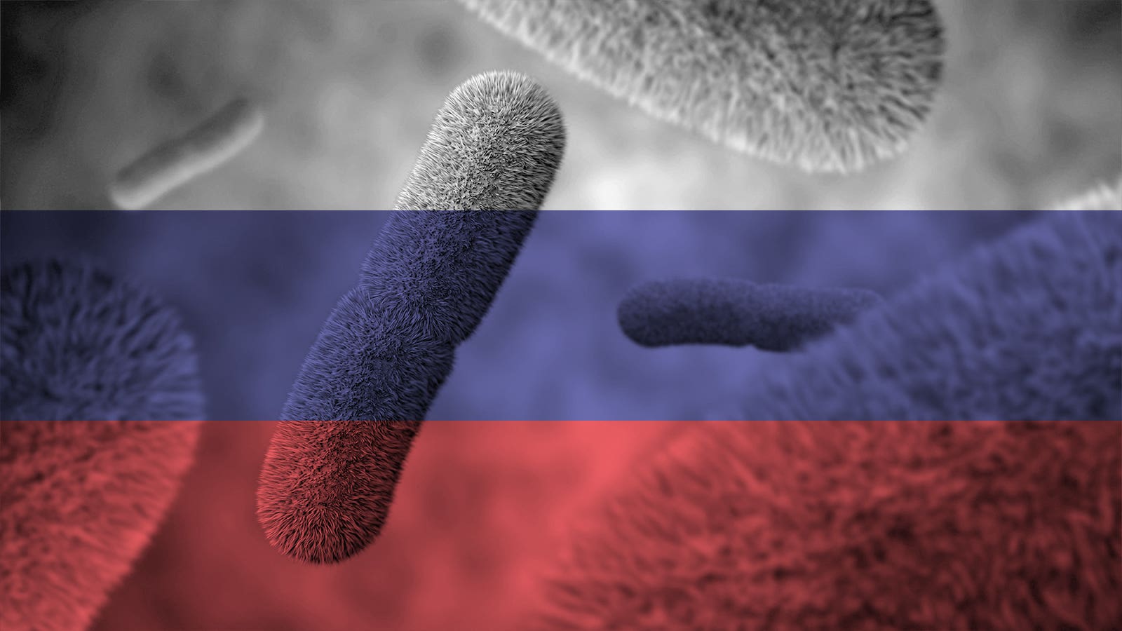 Russian 'plague' death: What we know and don't know