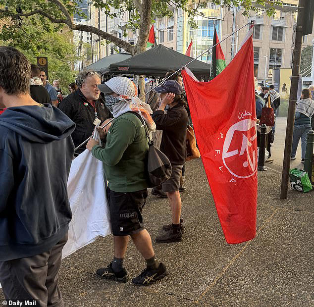 Terror group's flag is waved in Sydney at radical pro-Palestine rally