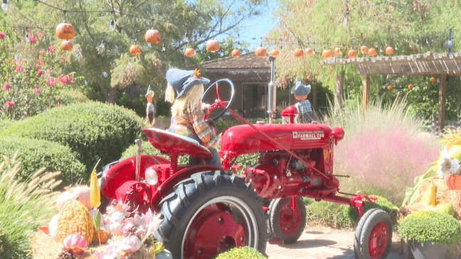 Boo at the Zoo preparations underway