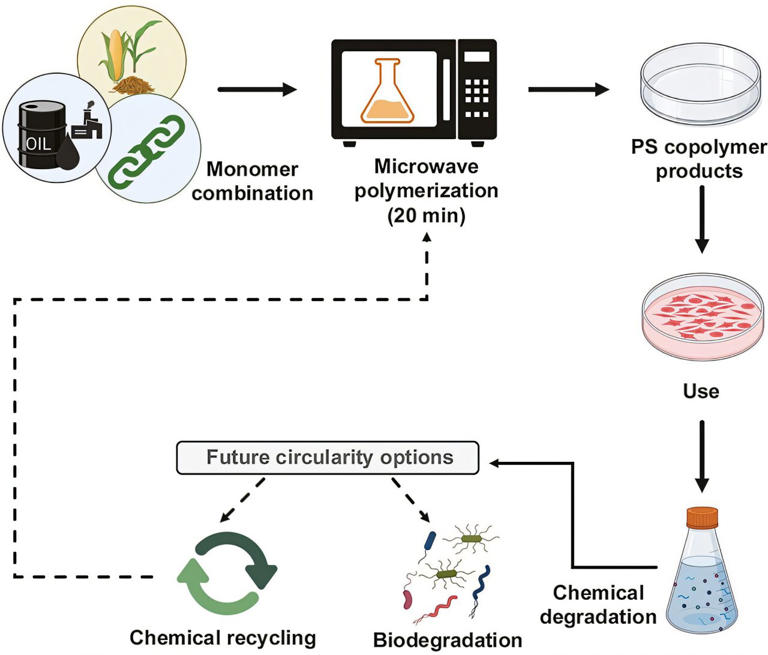 New polystyrene uses 50% plant-based material and breaks into fragments ...