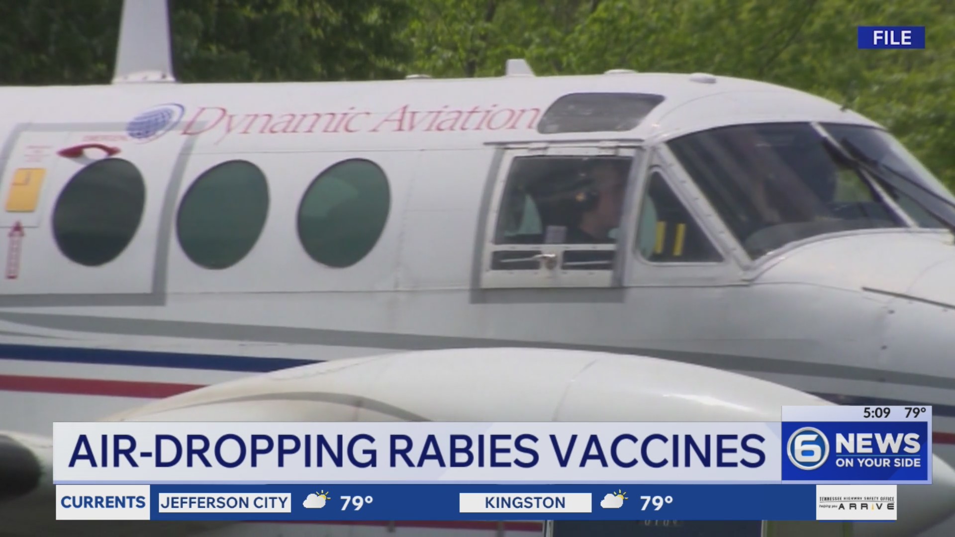 How air-dropping rabies vaccines keeps the virus from spreading into ...