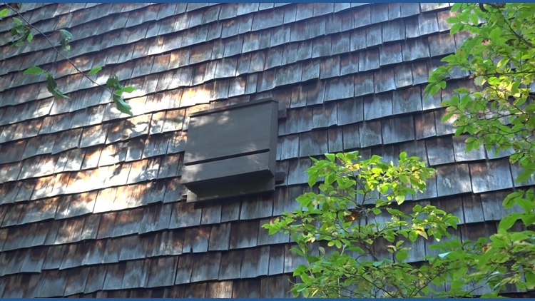 Rabies cases in Connecticut bats haven't spiked, state officials say