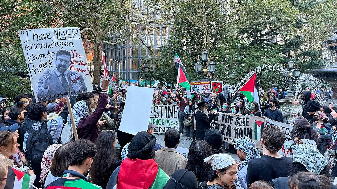Fox News 'Antisemitism Exposed' newsletter: Deranged Israel haters mark ...