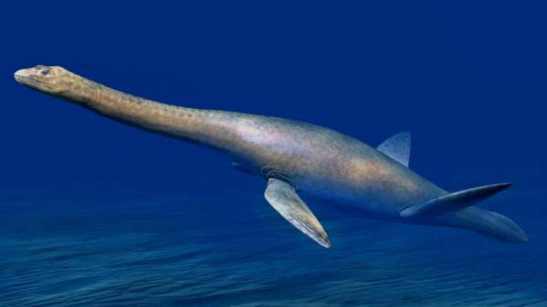 Ancient marine reptiles may have swum ashore to vomit, fossils suggest