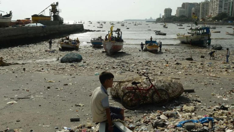 'Clean South Mumbai doesn't mean city is clean': High Court raps civic body