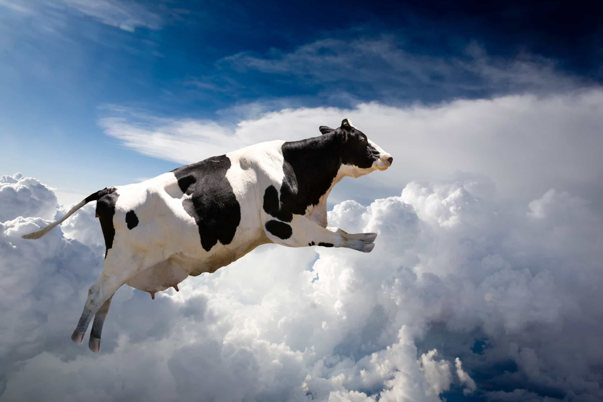 Unusual objects that have fallen from the sky