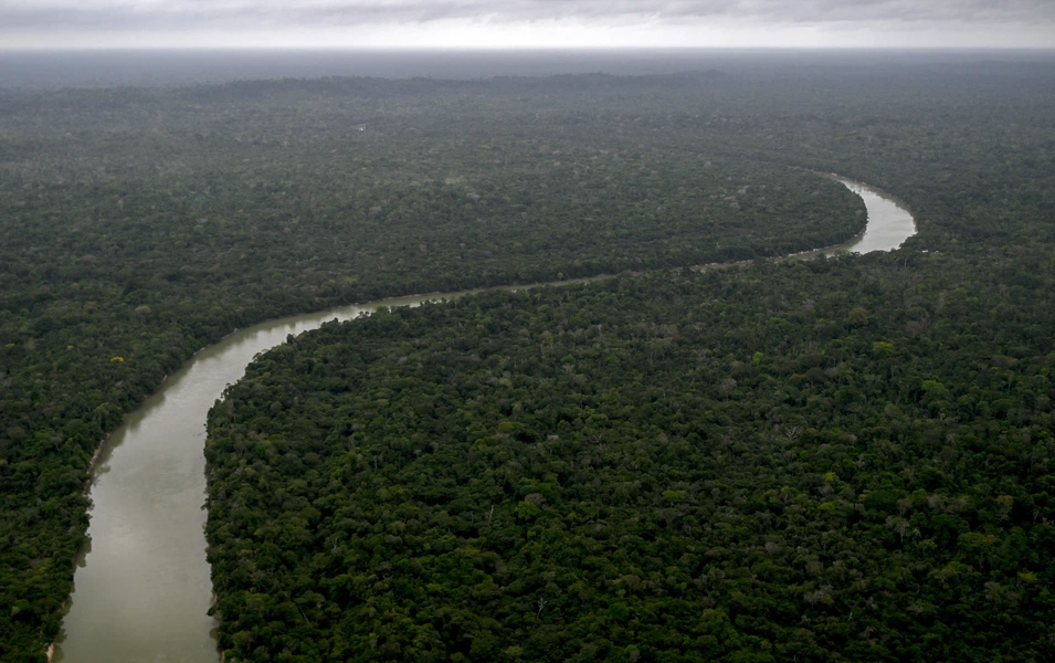 Your ultimate Amazon rainforest travel guide