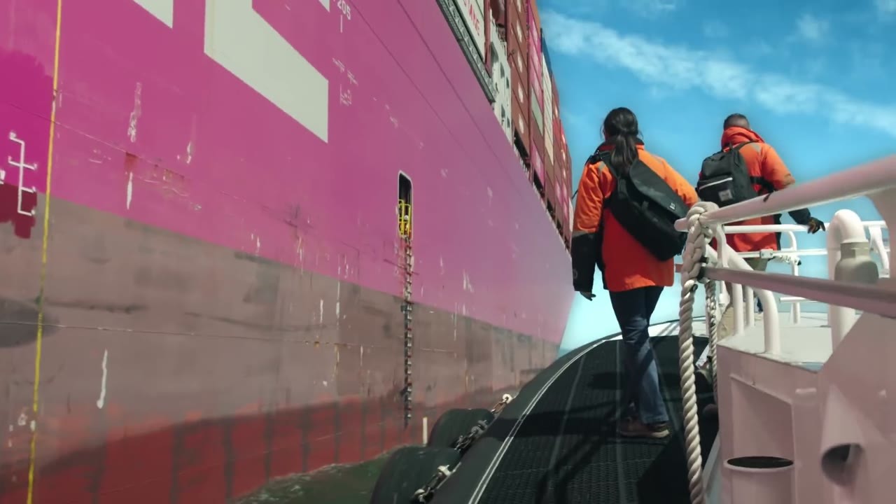 A 1,200-foot cargo ship entered San Francisco Bay - then its pilot had ...