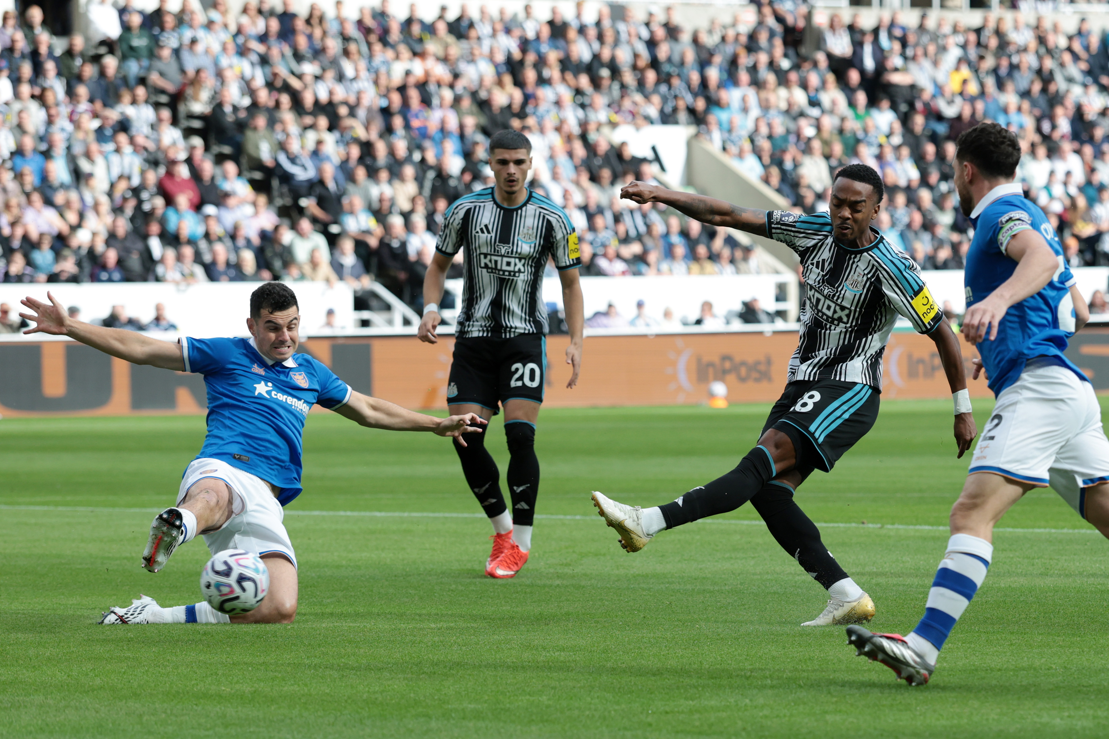 'I remain insistent' - Club chief confirms Newcastle United January ...