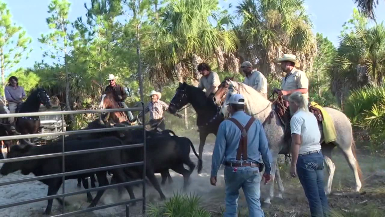 A Land Remembered: TV adaptation of historic Florida novel films in Hudson