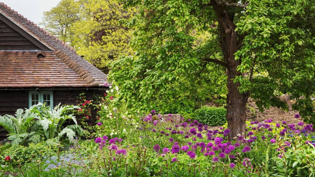 Plant these 7 seeds now for a gorgeous cottage garden come spring