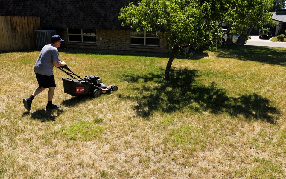 Experts outline key pre-frost steps for healthier spring lawns