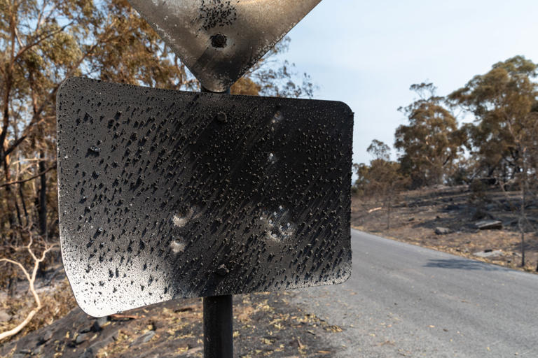 British colonisation made Australia more prone to bushfires