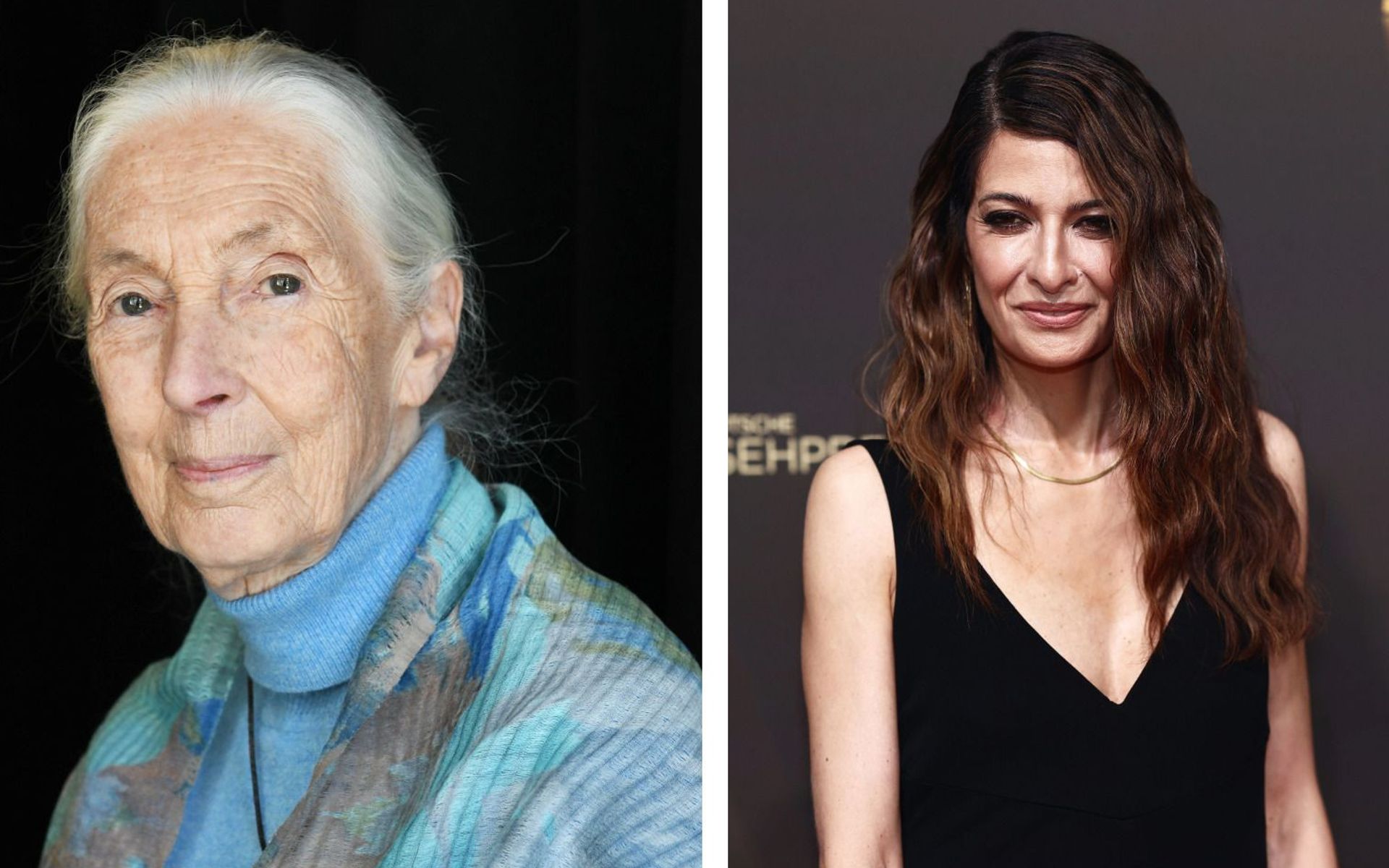Für neue ProSieben-Doku: Jane Goodall gab Linda Zervakis eines ihrer ...