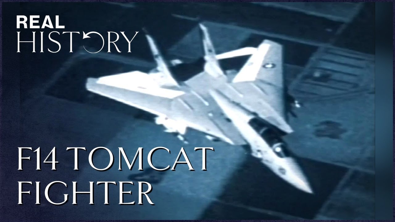 Grumman Hellcat & F-14 Tomcat: The Power Machines Of WW2