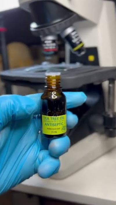 Tea tree oil vs bacteria under the microscope
