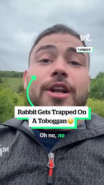 Rabbit gets trapped on a toboggan