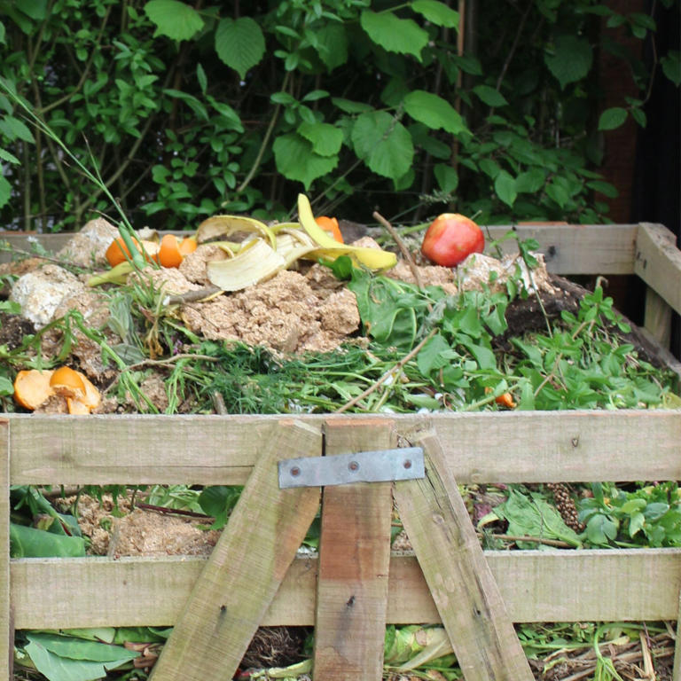 What to do with a vegetable patch in October – 4 crucial tasks for ...